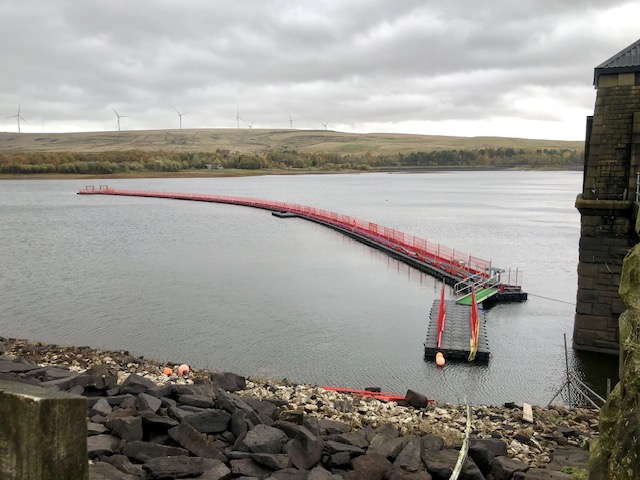IMG 1137